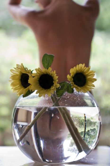 464x696, 59 Kb / подсолнухи, аквариум, попа