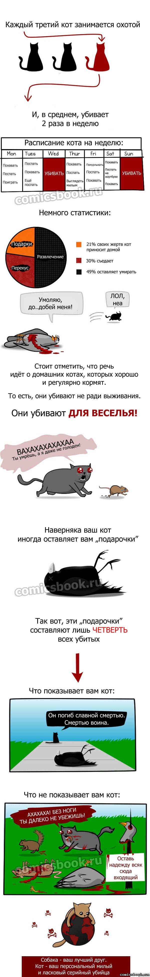 600x3900, 226 Kb / кот, персональный серийный убийца, инфографика