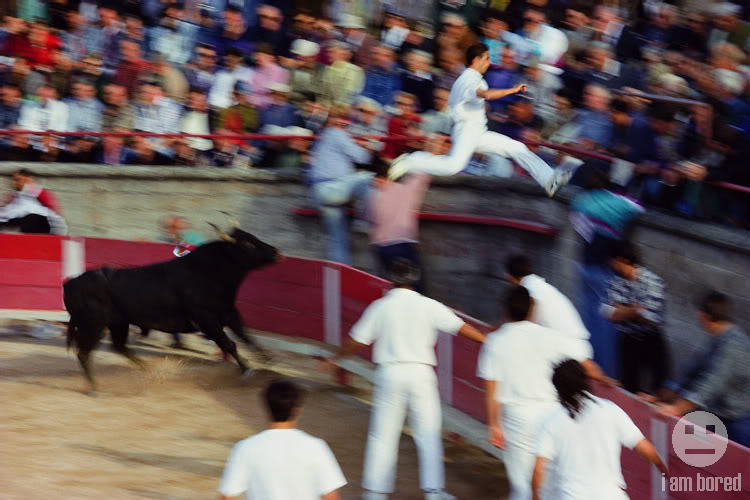 750x500, 188 Kb / коррида, бык, полет