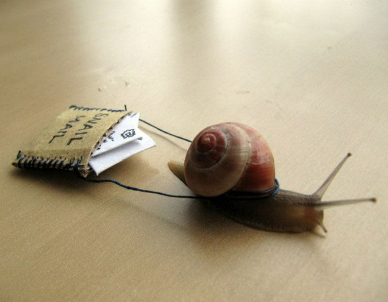 799x621, 102 Kb / улитка, письмо