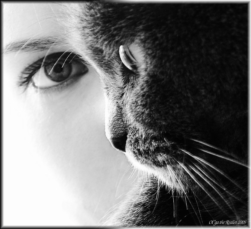 850x775, 172 Kb / лицо, котэ, ч/б