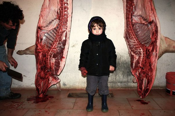 604x403, 65 Kb / мясо, туша, свинья, мясник, ребенок