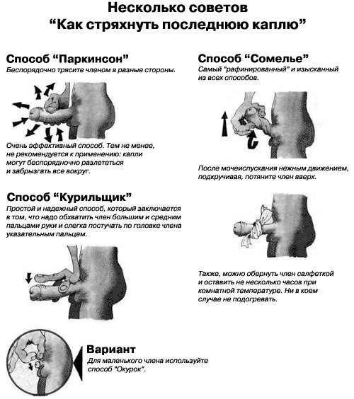 500x564, 81 Kb / комикс, пенис
