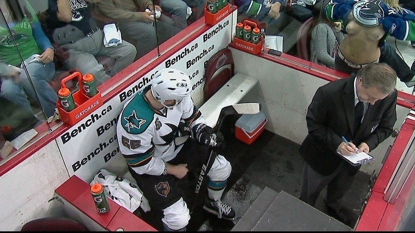 811x456, 146 Kb / хоккей, скамейка, хоккеист, клюшка, болельщица