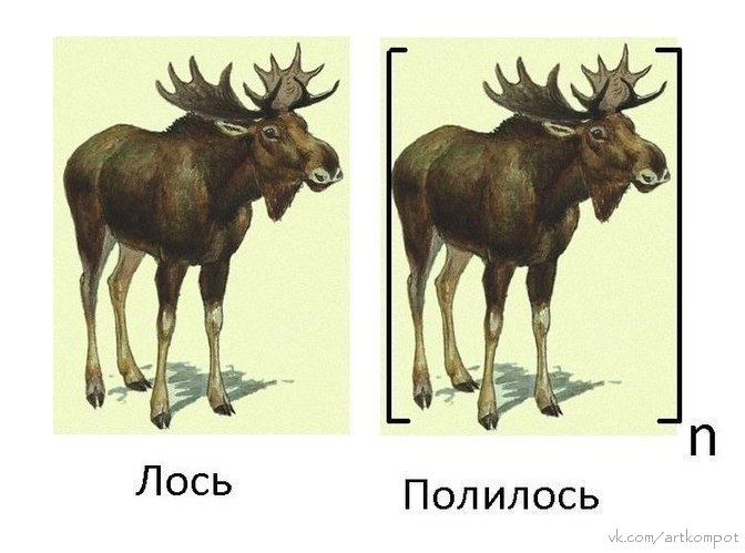 672x499, 56 Kb / лось, полилось