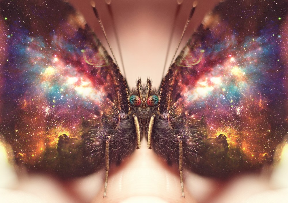 1000x705, 184 Kb / бабочка, космос, туманность