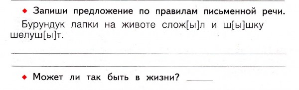 600x181, 23 Kb / бурундук, шишка, школа