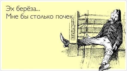 425x237, 25 Kb / береза, почки