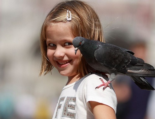 500x386, 57 Kb / девочка, голубь, ухмылка, пиздец