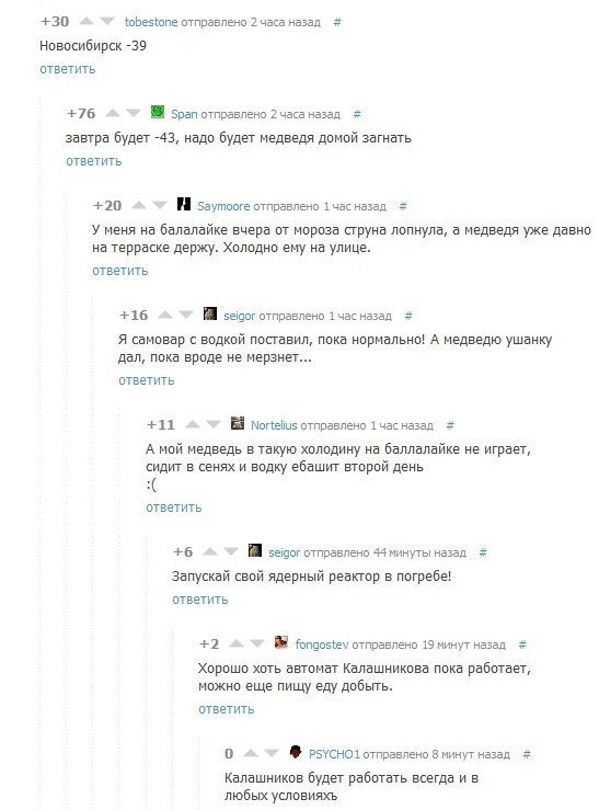 547x739, 55 Kb / холодно, пипец, новосибирск, -41, медведи, водка, балалайка, чат