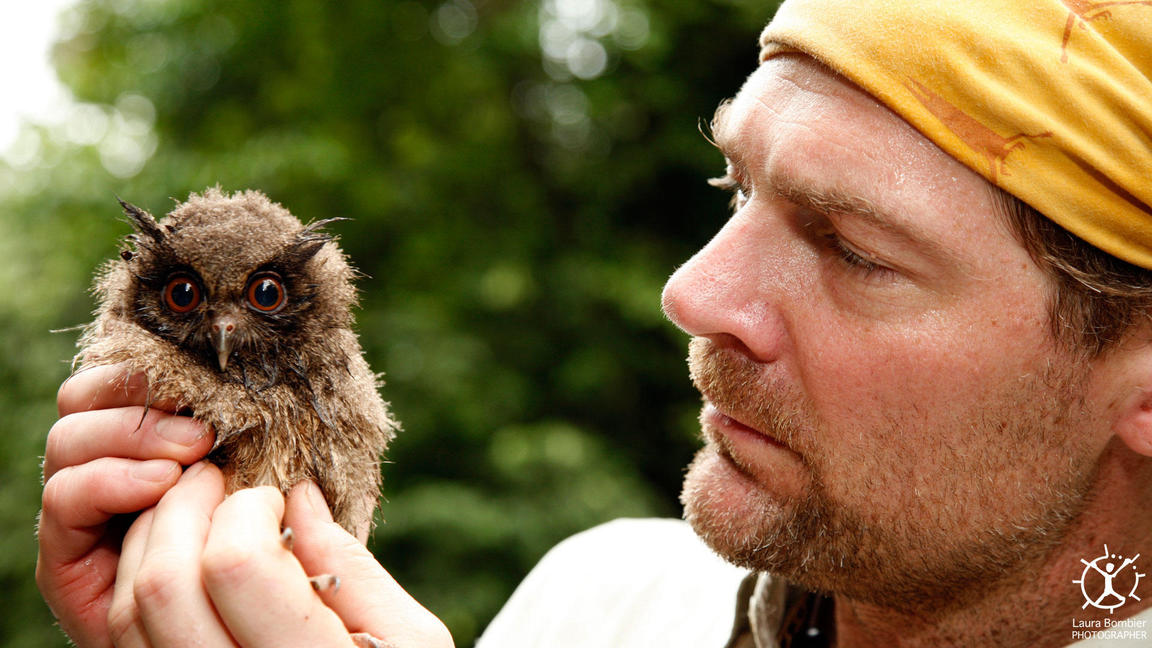 1152x648, 136 Kb / Les Stroud сова survivorman выживание