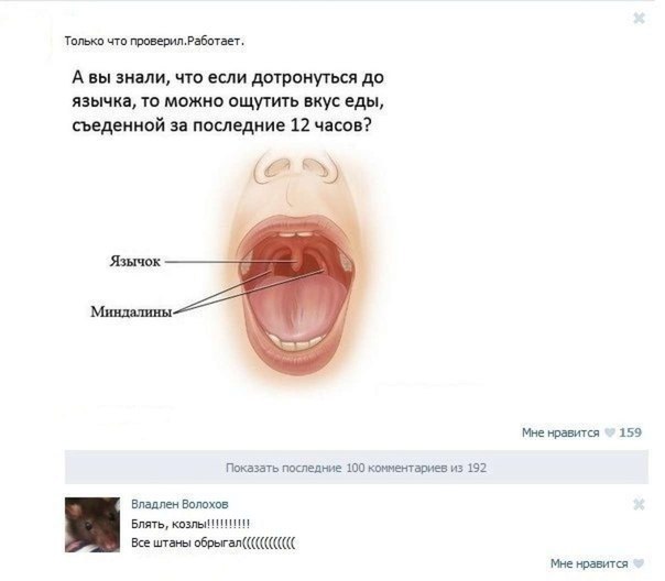 604x528, 30 Kb / язычок, еда, рот, вкус