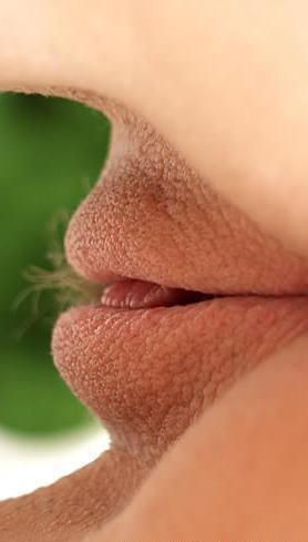 278x489, 15 Kb / губы, пизда