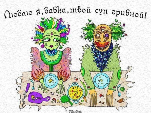 604x452, 104 Kb / дед, бабка, грибы, наркотики