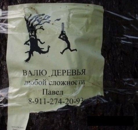 476x448, 37 Kb / дерево, пила