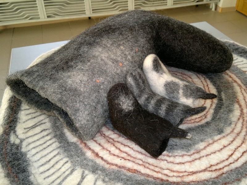 800x600, 201 Kb / валенок, коврик