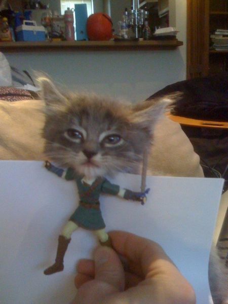 450x600, 31 Kb / кот, тело, лист, рисунок