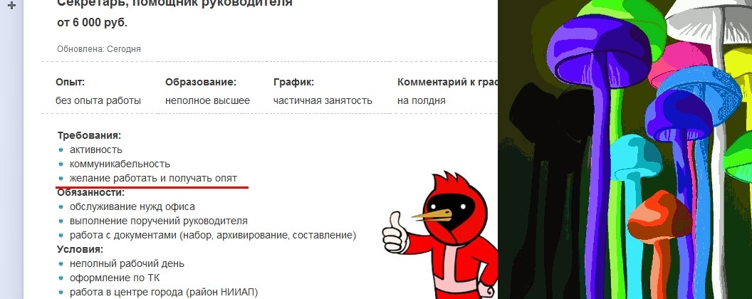 1056x420, 85 Kb / работа, опят