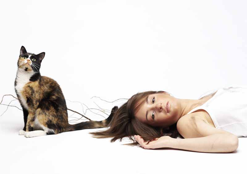 800x563, 18 Kb / девушка, кот