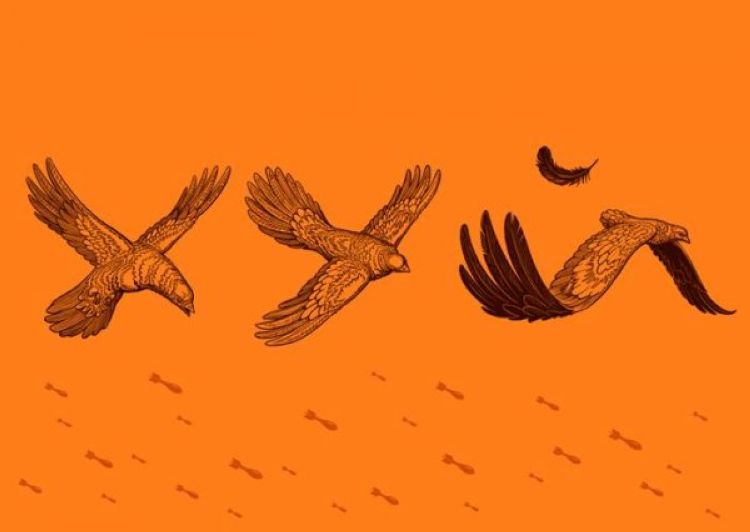 750x532, 30 Kb / птички