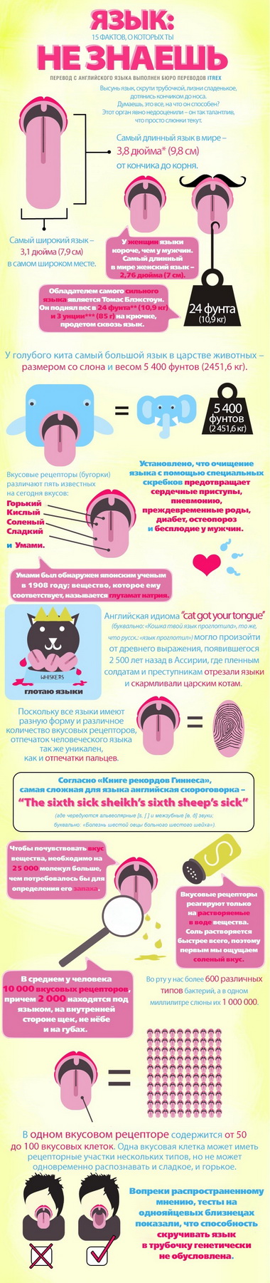 380x1800, 292 Kb / язык