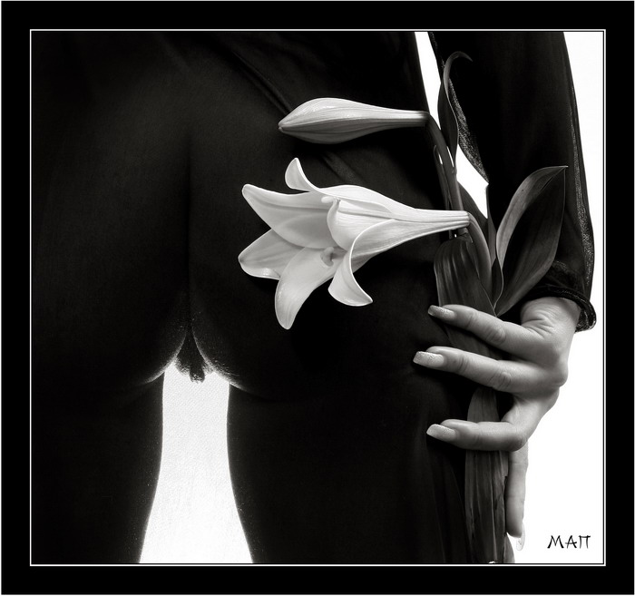 700x657, 84 Kb / лилия, цветок, ч/б, губы, пизда