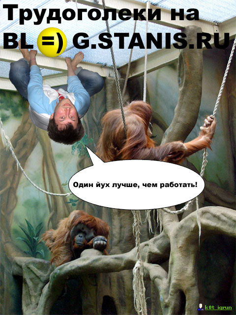 480x640, 87 Kb / Зоопарк, сева, обезьяна