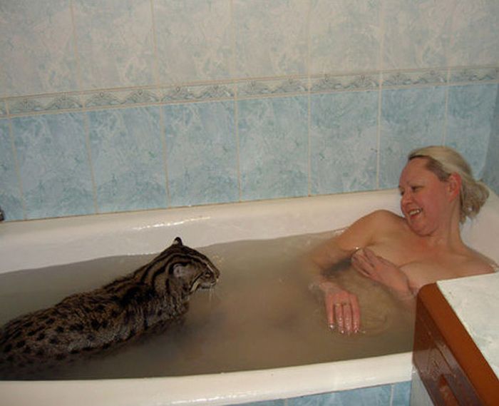 700x569, 51 Kb / ванна, котэ, виверровый