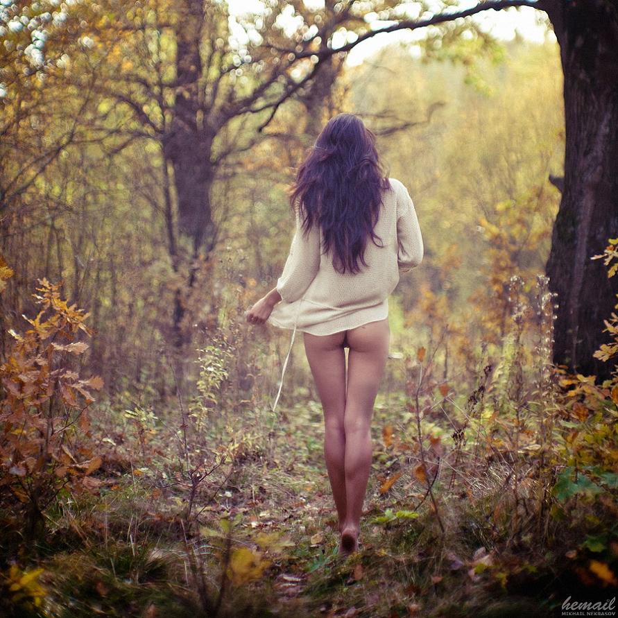 891x891, 159 Kb / лес, осень, девушка, волосы, блузка, попка, ноги, идёт