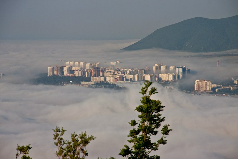 807x538, 57 Kb / гора, новороссийск, новостройка, туман, море