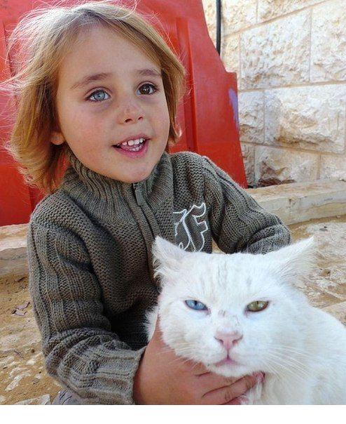 494x604, 66 Kb / Девочка, кот, гетерохромия