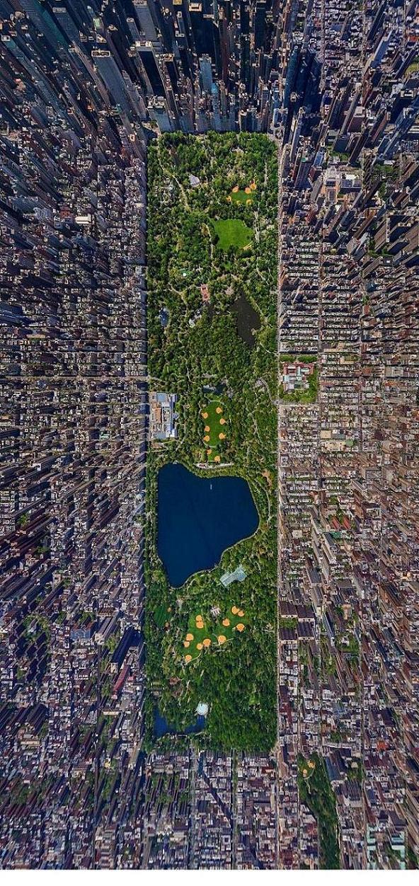 592x1252, 271 Kb / Парк, зелень, озеро, небоскребы, сверху