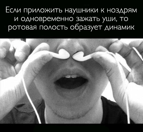 500x463, 116 Kb / наушники, нос, рот, динамики