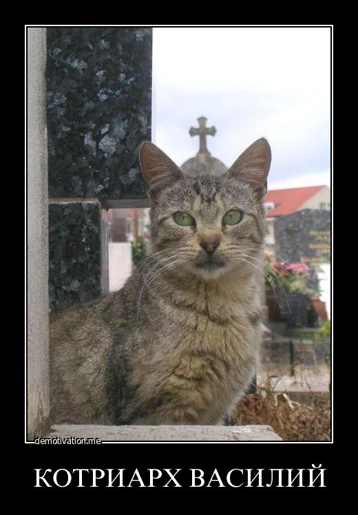 520x748, 53 Kb / котриарх, православие,  крест, демотиватор