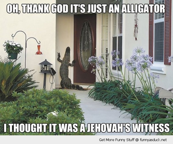 599x497, 157 Kb / аллигатор, дверь, входная дверь, у двери