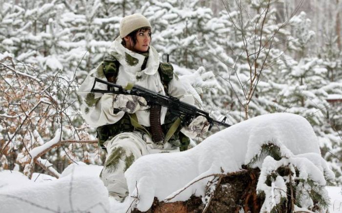 700x437, 72 Kb / Снегорочка, автомат