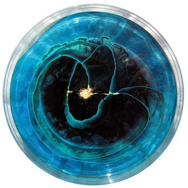 640x640, 62 Kb / Чашка Петри, рисунок