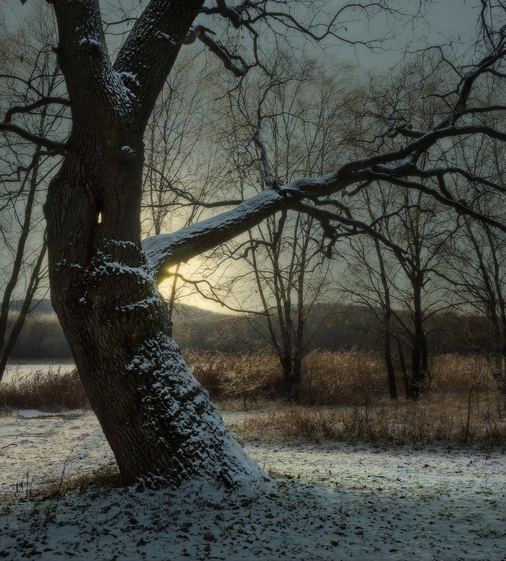 722x800, 228 Kb / дерево, снег, закат