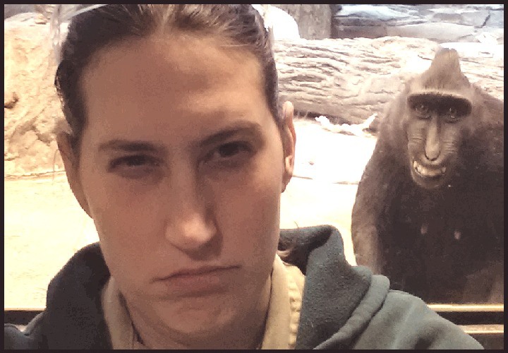 720x500, 103 Kb / обезьяна, девушка, обернулась, рожа