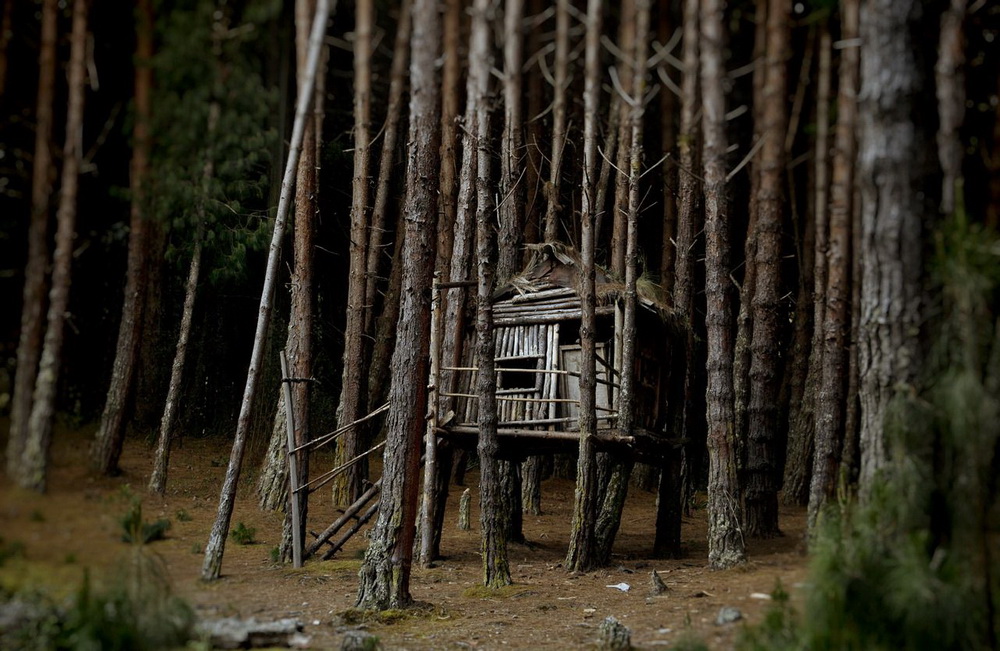 1000x651, 246 Kb / лес, дом, колумбия