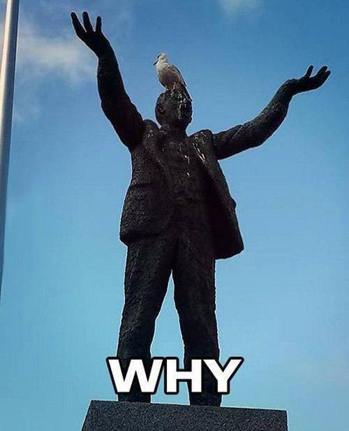 500x617, 37 Kb / памятник, голубь