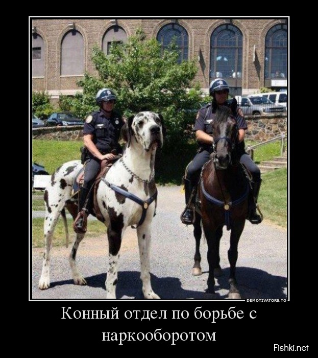 623x700, 231 Kb / DEA, америкосы, лошадь