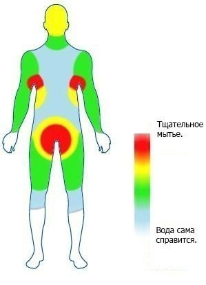 299x412, 14 Kb / тщательное, мытье, схема