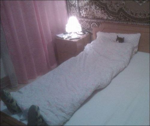 500x418, 35 Kb / кот, кровать, ноги