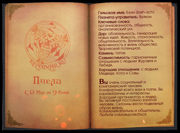 741x546, 70 Kb / кельты, гороскоп, пчела