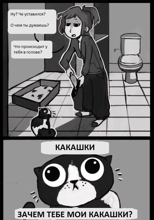 500x711, 96 Kb / кот, какашки, мысли