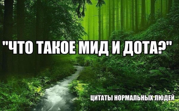 604x377, 76 Kb / цитата, дота