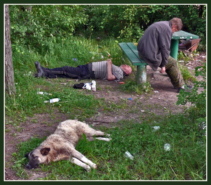 709x622, 169 Kb / природа, скамейка, отдых, хорошо