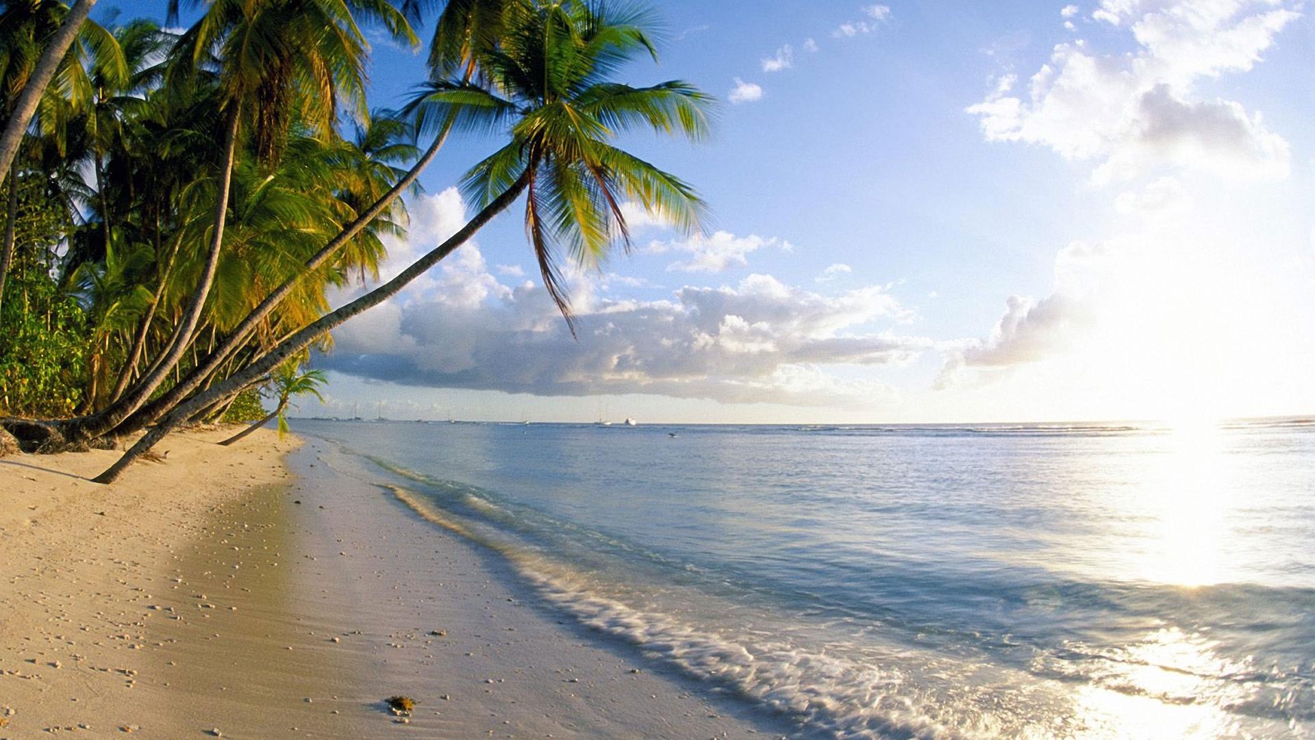 1920x1080, 283 Kb / солнце, море, облака, волны, пальмы, пляж, песок, рай