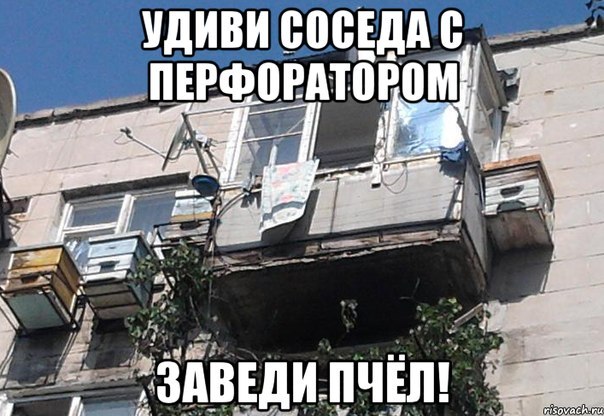 604x416, 88 Kb / балкон, сосед, пчелы